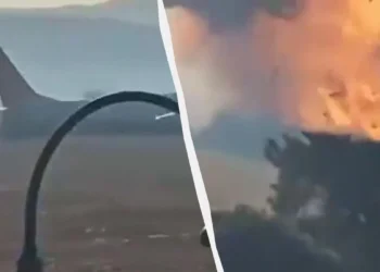 (ВІДЕО) У Південній Кореї розбився пасажирський літак: загинули 179 людей