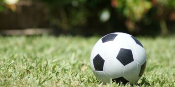 Слідство з’ясовує, куди екс-голова ФФУ Суркіс витратив призначені на побудову спортбазу кошти