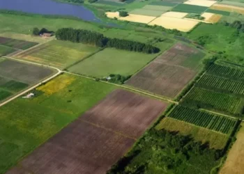 На ТОТ росіяни хочуть продавати земельні ділянки українців, які виїхали з окупації, – Центр нацспротиву