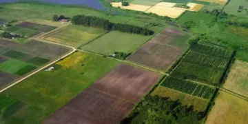 На ТОТ росіяни хочуть продавати земельні ділянки українців, які виїхали з окупації, – Центр нацспротиву