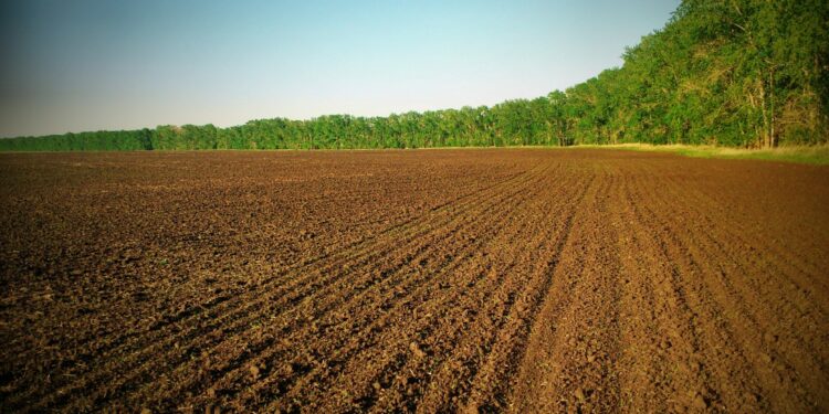 Екснардеп та чиновники привласнили тисячі гектарів землі майже на 300 мільйонів гривень