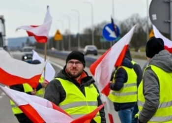 Польща готується обмежити імпорт ще одного товару з України