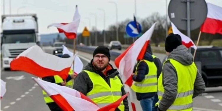 Польща готується обмежити імпорт ще одного товару з України