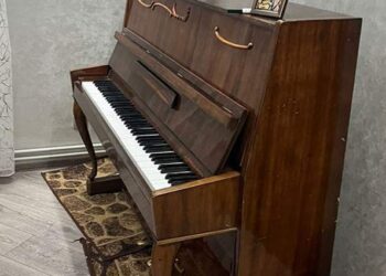 На Тернопільщині директорка забрала додому шкільне піаніно для навчання своєї доньки