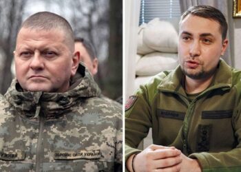 Лідери довіри громадян – Залужний та Буданов