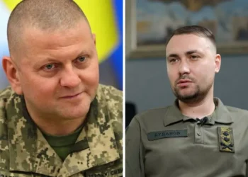 Рейтинг довіри – Залужний та Буданов поза конкуренцією