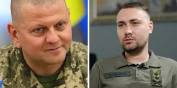 Рейтинг довіри – Залужний та Буданов поза конкуренцією