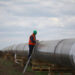 ЄС витрачає на російську нафту та газ більше, ніж на фінансову допомогу Україні – звіт 7 газопровод «Турецький потік»