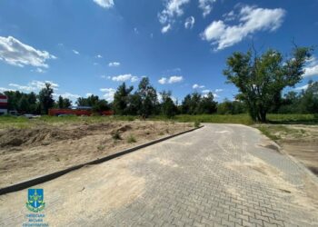 Службовців "Київзеленбуду" викрили на розкраданні мільйонів 6 Гідропарк