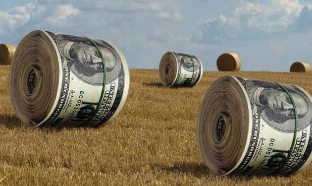 Чиновник допоміг провернути земельну аферу на 17 млн грн 1 земельна афера