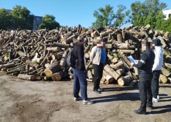 Корупція на дровах для ЗСУ: Розтрачено майже 90 мільйонів гривень – підозрюють посадовців