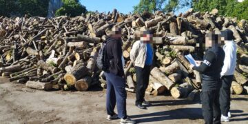 Корупція на дровах для ЗСУ: Розтрачено майже 90 мільйонів гривень – підозрюють посадовців
