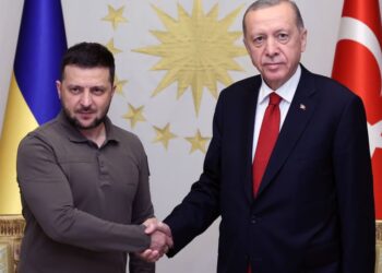 Ердоган, Зеленський