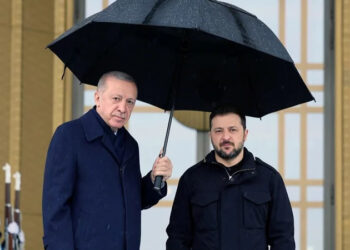 Зеленський, Ердоган