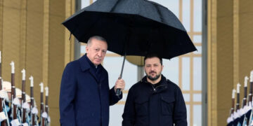 Зеленський, Ердоган