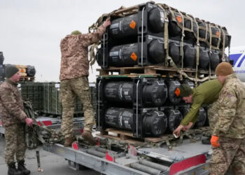 Україна втратила сотні мільйонів доларів через корупцію та невдалі збройові угоди