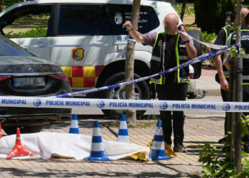 Вбивство топ-чиновника часів Януковича: Портнова ліквідували в Мадриді