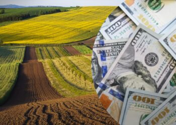 Зниження вартості землі, погіршення інвестклімату – експерти пояснили, до чого можуть призвести ініціативи Мінагропроду