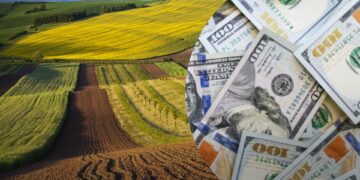 Зниження вартості землі, погіршення інвестклімату – експерти пояснили, до чого можуть призвести ініціативи Мінагропроду