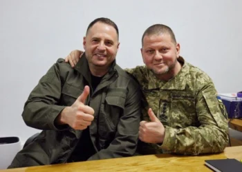 Залужний і Єрмак