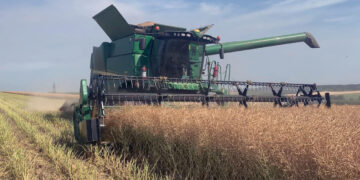 Сезон сої та ріпаку повністю зірвано: аграрії вимагають зупунити дію закону до розробки правил експорту у листопаді