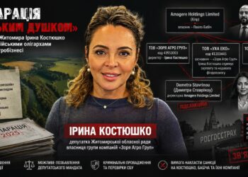 Декларація з “руським душком”. ЗМІ побачили в звітності депутатки з Житомира Костюшко звʼязок із росіянами