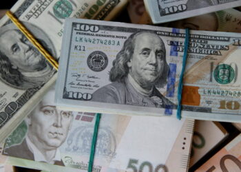 Чому тануть золотовалютні резерви: українців закликали не панікувати