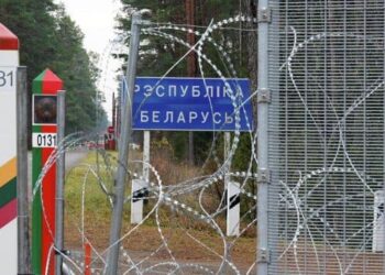 Білорусь запропонувала українцям збирати гриби біля кордону: що кажуть у ДПСУ