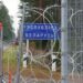 Білорусь запропонувала українцям збирати гриби біля кордону: що кажуть у ДПСУ