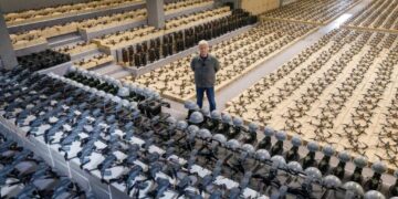 Порошенко відреагував на обшуки у виробника дронів “Вирій”: що заявив політик