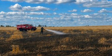 На Житомирщині через російську атаку згоріло пшеничне поле