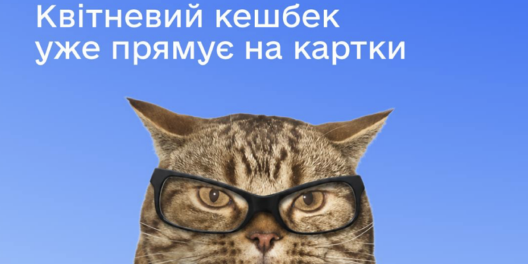 Українці почали отримувати виплати “Національного кешбеку”: який термін використання коштів