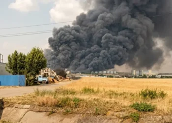 Росія вдарила КАБами по найбільшій у Європі птахофабриці у Херсонській області