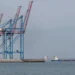 Ціни на пшеницю зростають через атаки в Чорному морі – ЗМІ 7 Ціни на пшеницю зростають через атаки в Чорному морі – ЗМІ