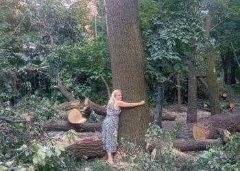 У Києві люди вийшли на захист парку на Теремках через вирубку дерев