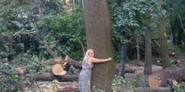 У Києві люди вийшли на захист парку на Теремках через вирубку дерев