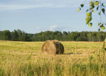 Спека повертається: в Україні прогнозують до +34° та різку зміну погоди