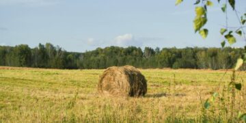 Спека повертається: в Україні прогнозують до +34° та різку зміну погоди