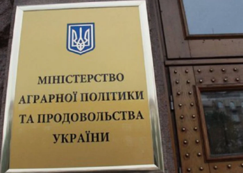 Російські атаки загрожують зберіганню зерна: Україна попросила допомоги у США