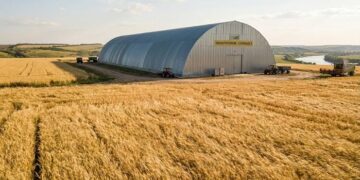 Пшениця дорожчає через перебої постачання з Чорного моря: що відбувається на ринку