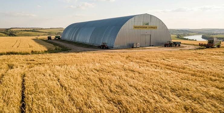 Пшениця дорожчає через перебої постачання з Чорного моря: що відбувається на ринку