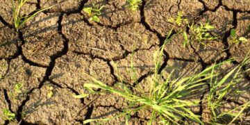 Захід України потерпає від посухи: можливі відключення води
