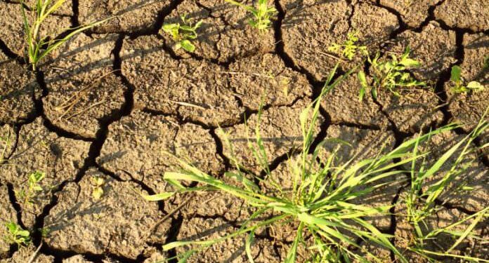 Захід України потерпає від посухи: можливі відключення води 1 Захід України потерпає від посухи: можливі відключення води