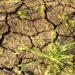 Захід України потерпає від посухи: можливі відключення води 7 Захід України потерпає від посухи: можливі відключення води