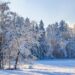 В Україні взимку можливе різке похолодання до -20°C: коли чекати морозів 7 В Україні взимку можливе різке похолодання до -20°C: коли чекати морозів