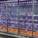 Удари РФ по складах спричинили перебої з товарами в Києві: бізнес прогнозує зростання цін