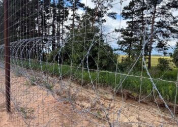 На кордоні з РФ та Білоруссю діятиме спеціальний режим: що заборонено