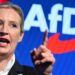 Доведеться формувати коаліцію: чому перемога AfD не гарантує партії участі в уряді Мекленбургу