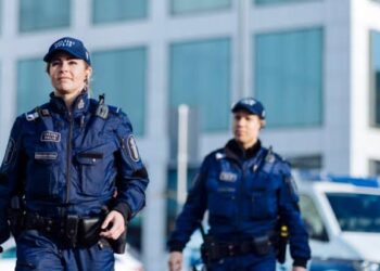 Фінляндія розширить повноваження поліції щодо перехоплення дронів: що зміниться