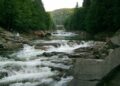 В Україні пересихають річки: де зафіксували критичне падіння водності